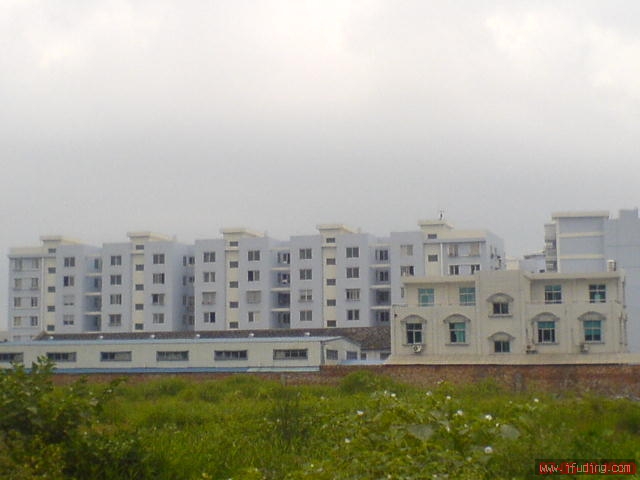 20070521155715401.jpg