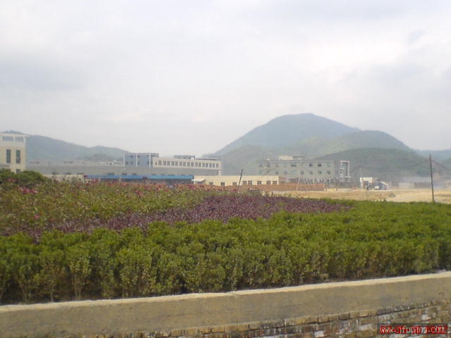 200705211557435076.jpg
