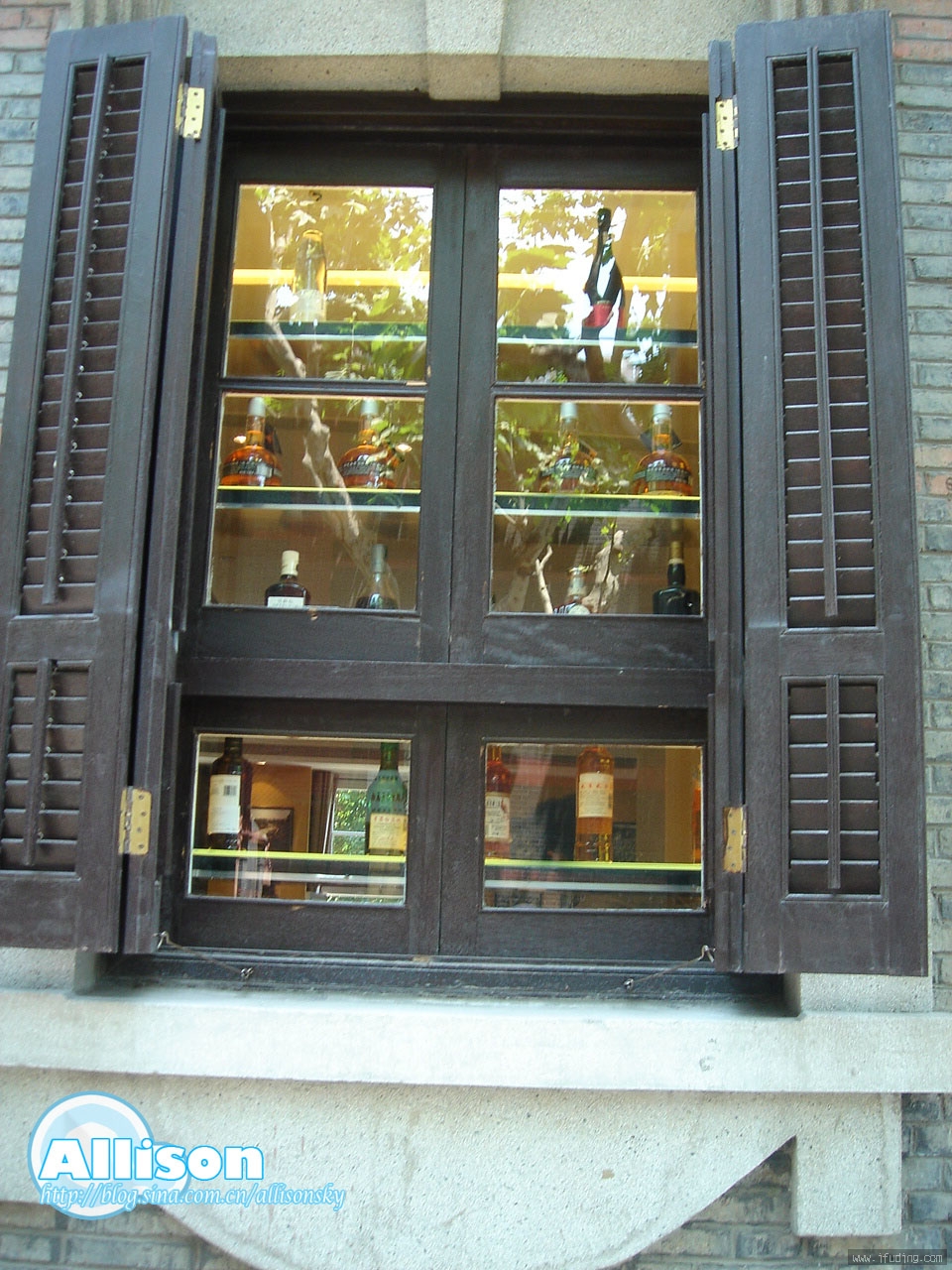 DSC02325.jpg