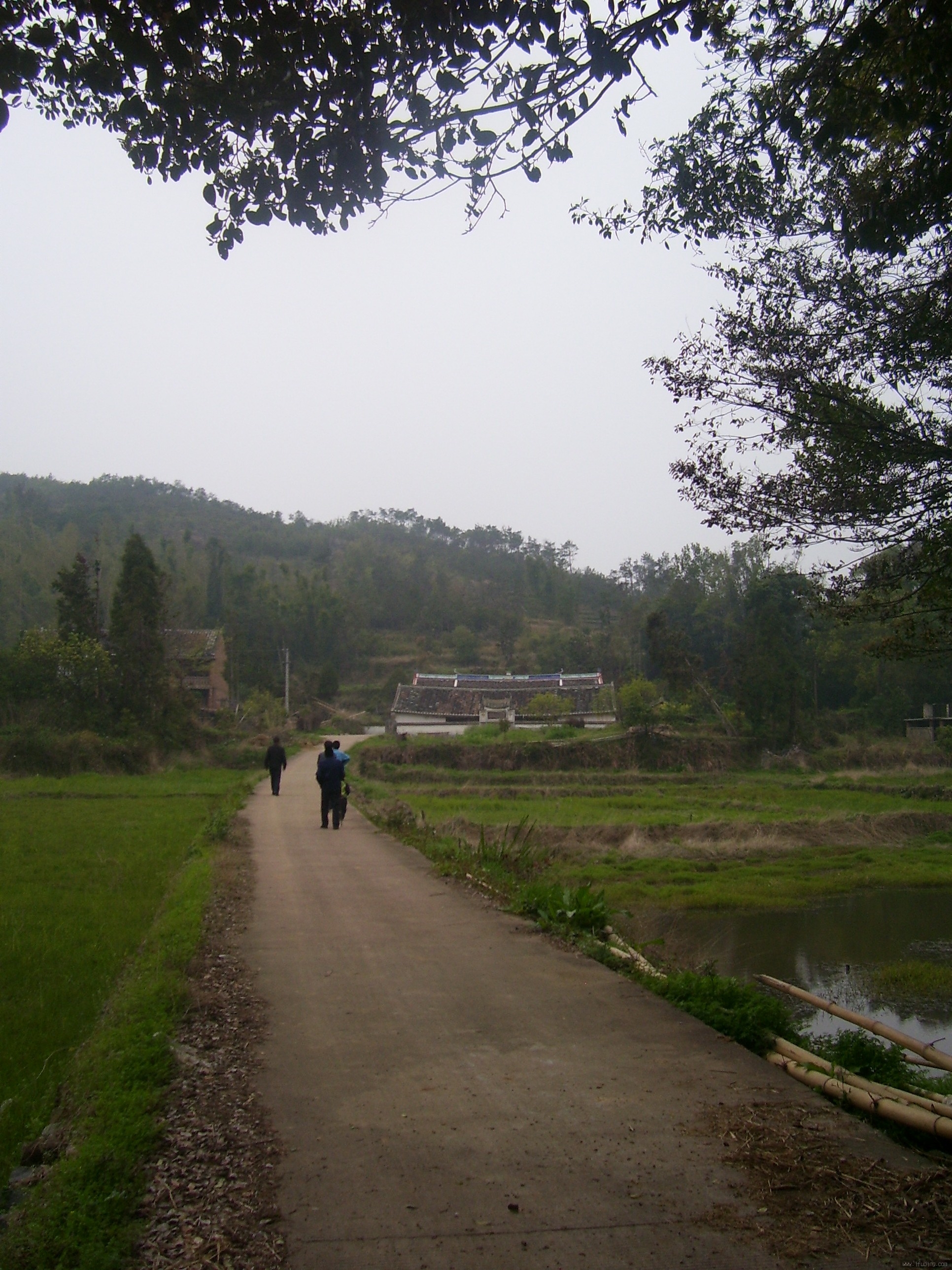 100_4411.JPG