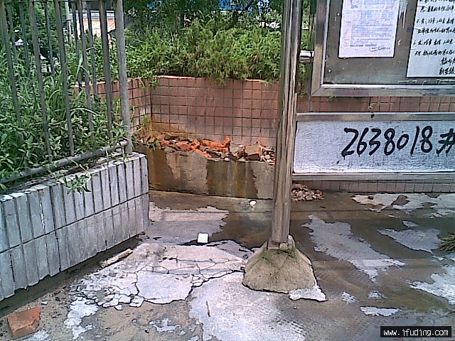 20070821.jpg