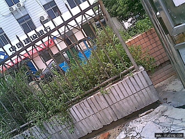 20070821(003).jpg