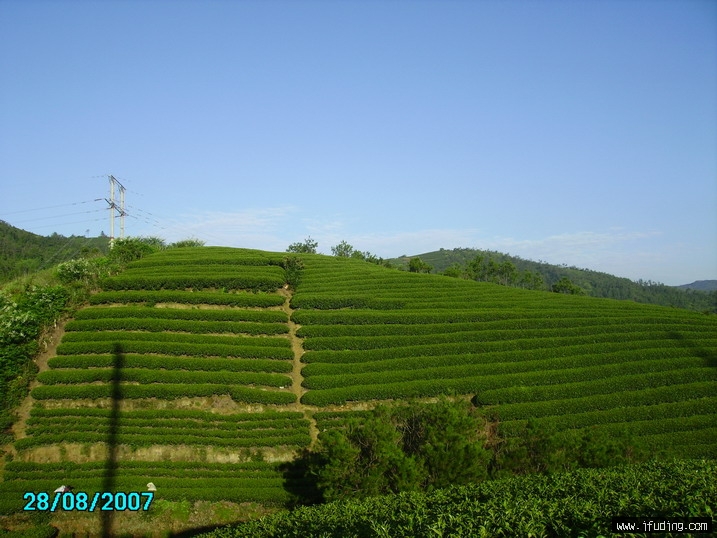 PICT1020.jpg