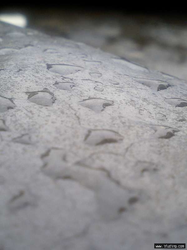 CA2500788.jpg