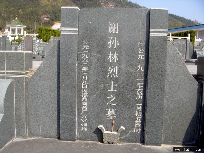 DSC01278.JPG