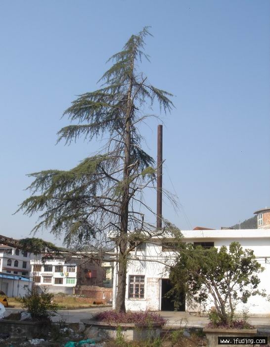 DSC01230.JPG