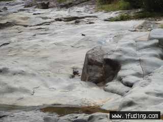 DSC05052-ѹ.JPG