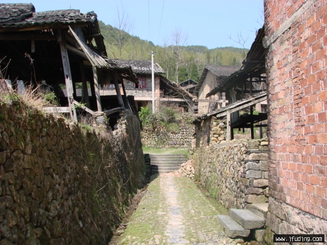 DSC01653.JPG