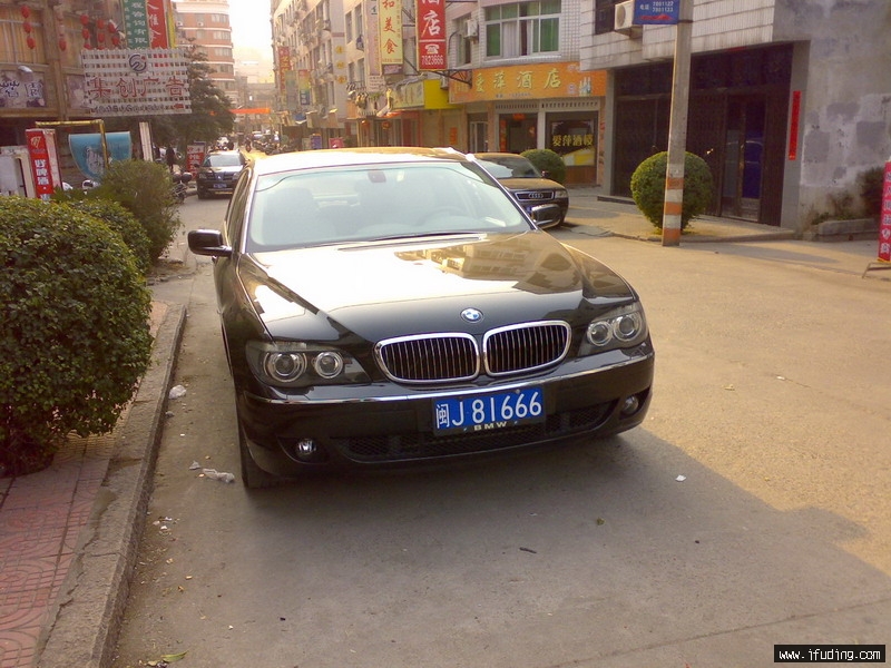81666.jpg