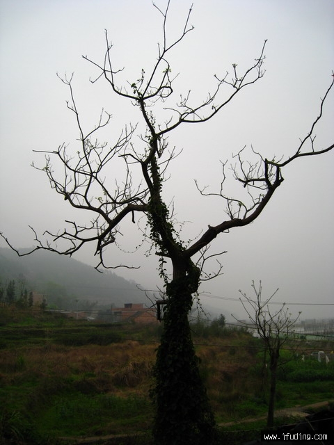 IMG_0643.jpg