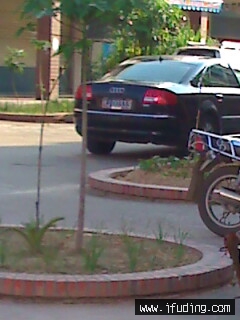 moto_0070.jpg