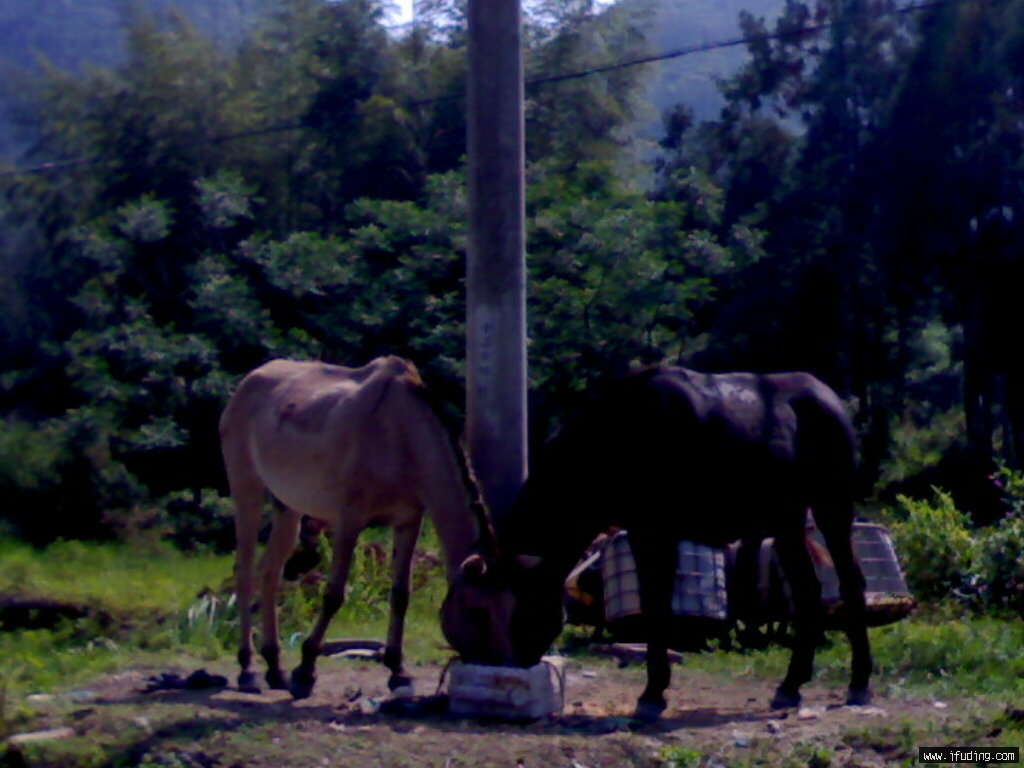 20080520673.jpg
