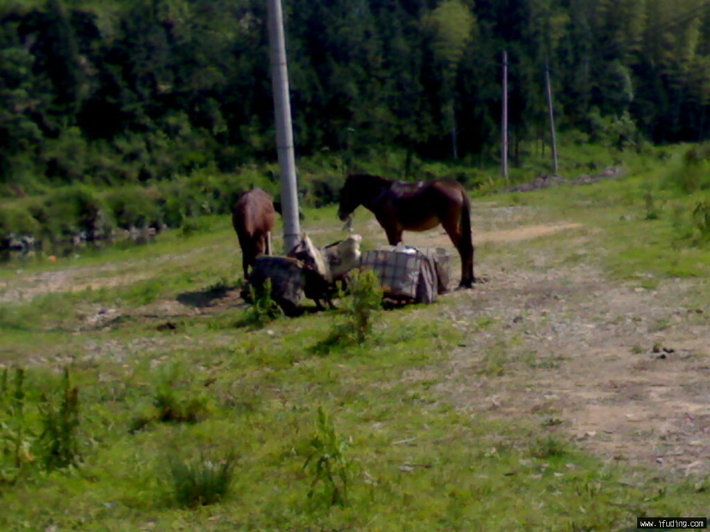 20080520670.jpg