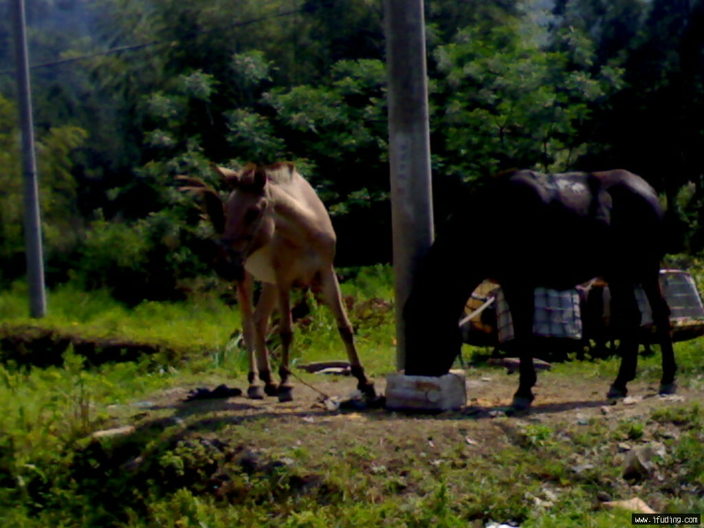 20080520671.jpg
