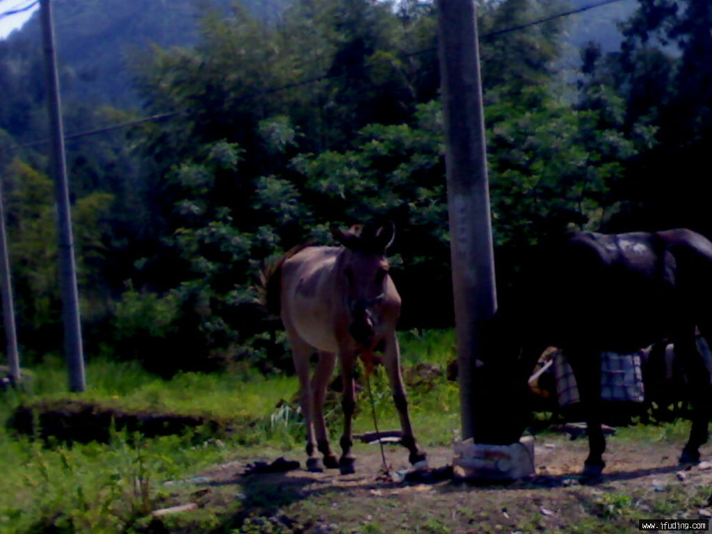 20080520672.jpg
