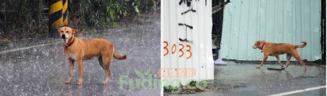 640?wx_fmt=png.jpg