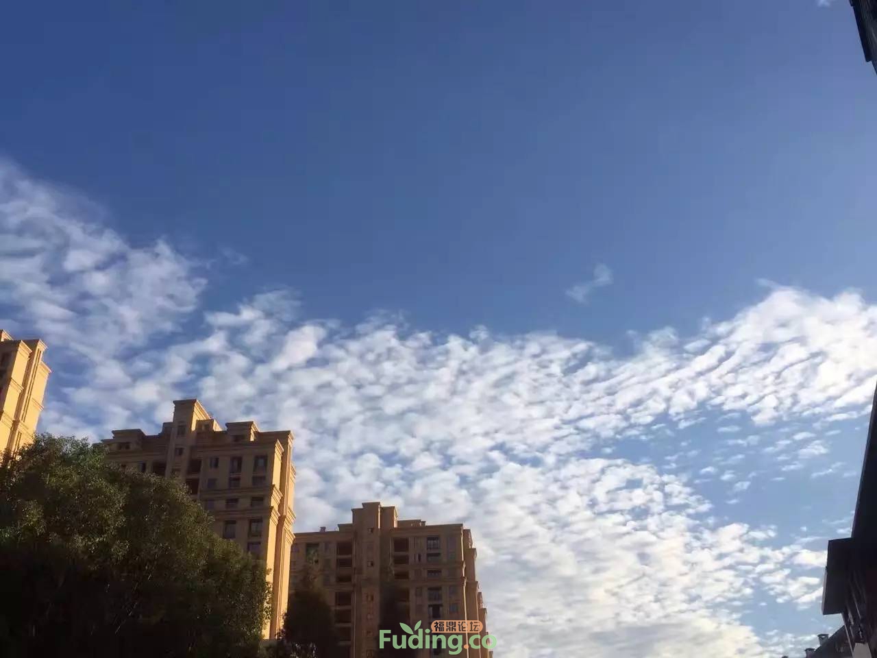 0?wx_fmt=jpeg.jpg