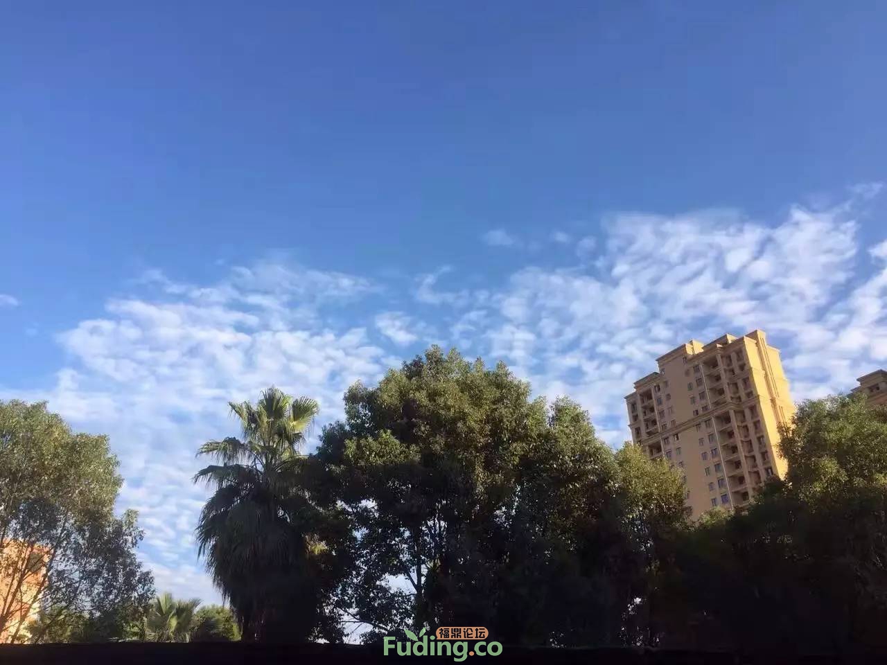0?wx_fmt=jpeg.jpg