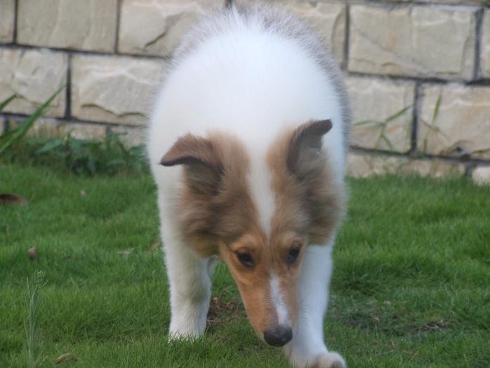 DSCF2233.JPG