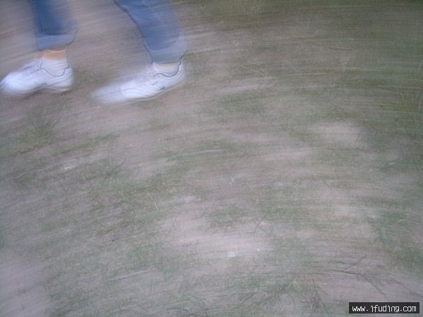 DSCN0547.JPG