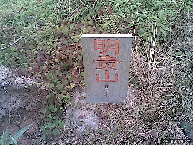 20070113(012).jpg